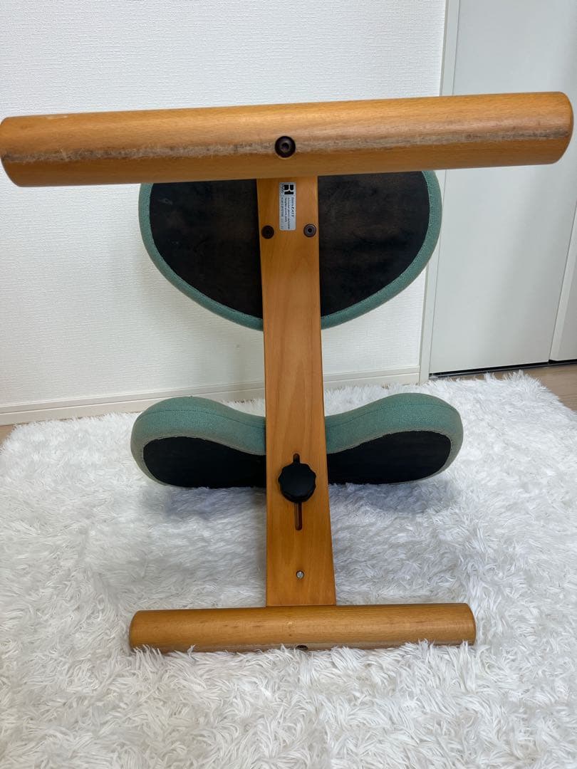 バランスチェア イージー ライトグリーン