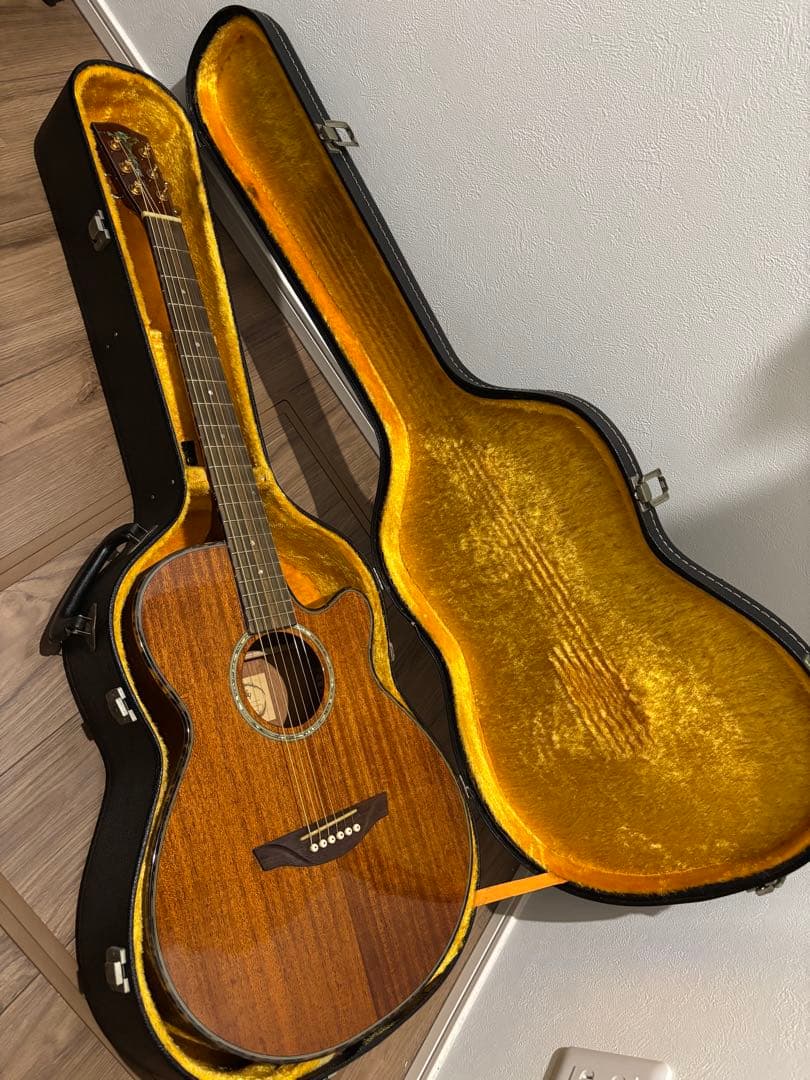 ギター Headway TF-1000C