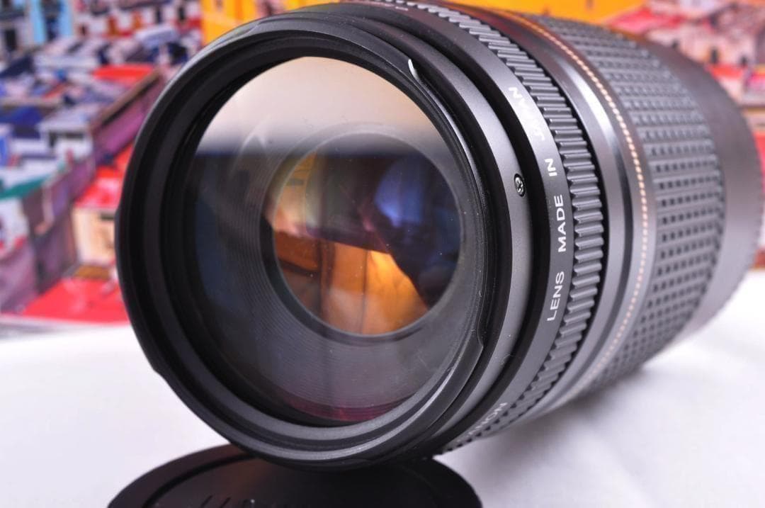 望遠レンズ Canon キヤノン EF75-300mm 想い出の瞬間 完動品