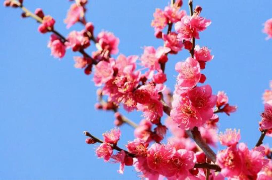 goma様 リクエスト おまとめ商品