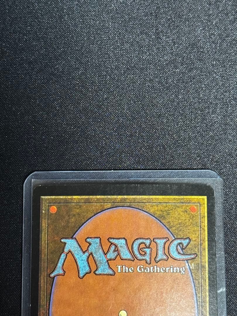 デルレイッチ　日本語Foil