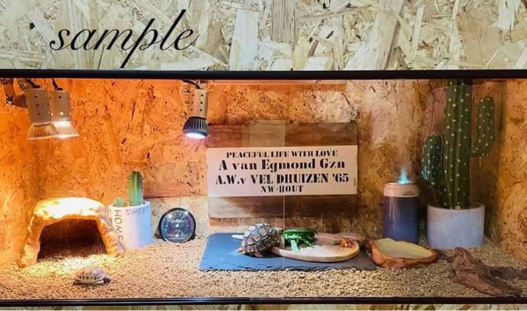 爬虫類ケージ　木製ケージ　 フトアゴ　ハリネズミ プロフ必読　フルオプ送料込み