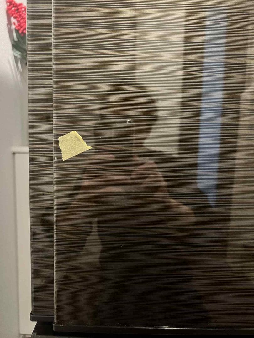 冷蔵庫と電子レンジセット　ニトリ　シーリングライトサービス　発送可能