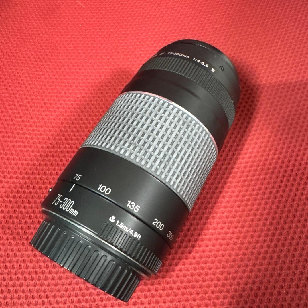 【美品】Canon EF 75-300mm F4-5.6 III 望遠ズーム