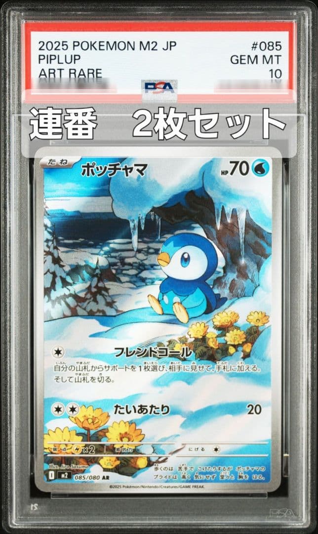 【連番2枚セット】ポッチャマ AR 085/080 PSA10 インフェルノX