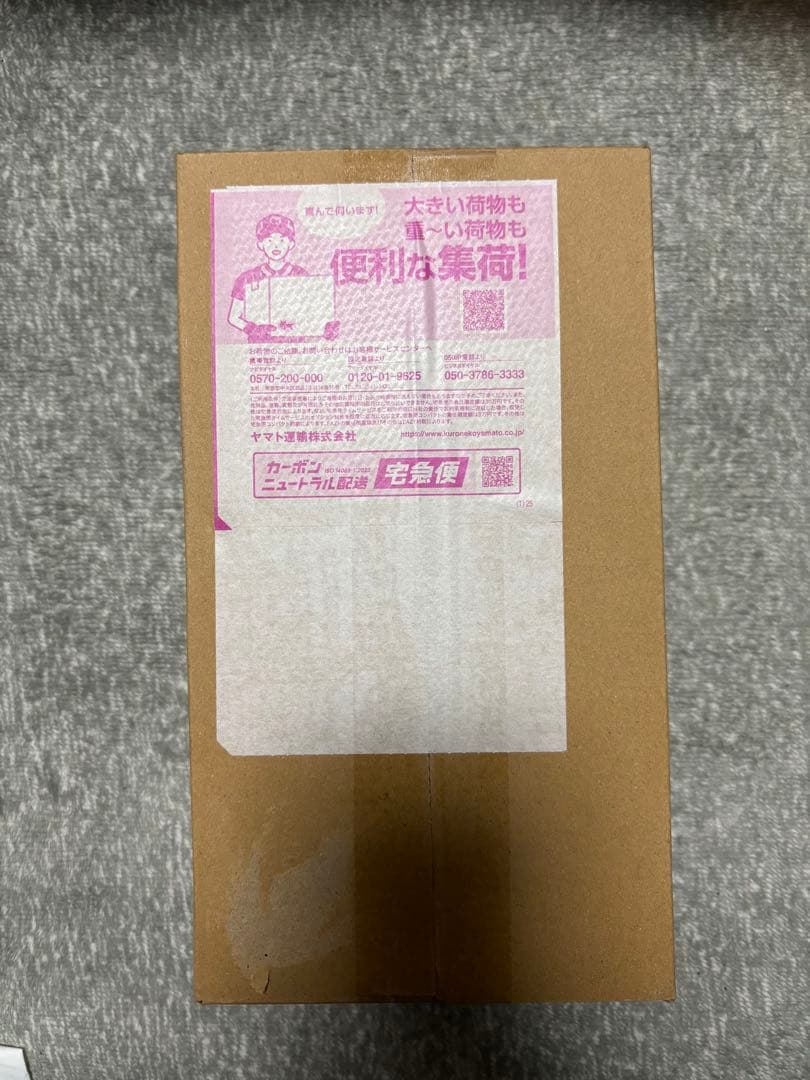 ポケモンセンターヒロシマ スペシャルbox ピカチュウ