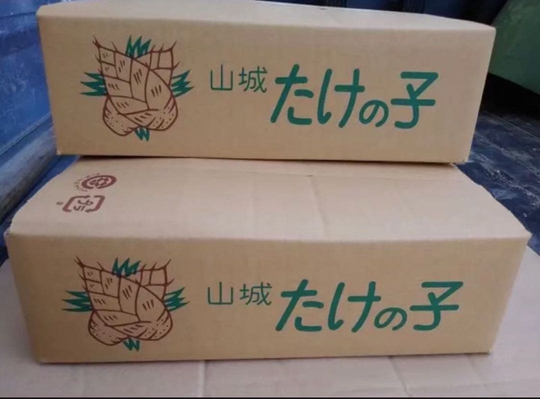 京都府山城産白子筍6キロ（クール便）