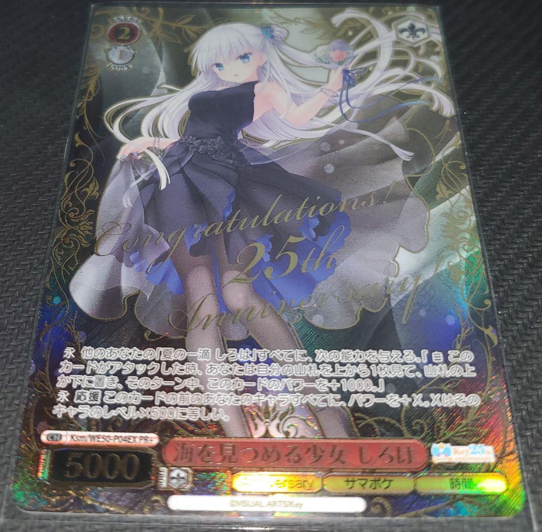 ヴァイス　サマポケ　PR/プロモ　海を見つめる少女しろは　冬の到来しろは&うみ