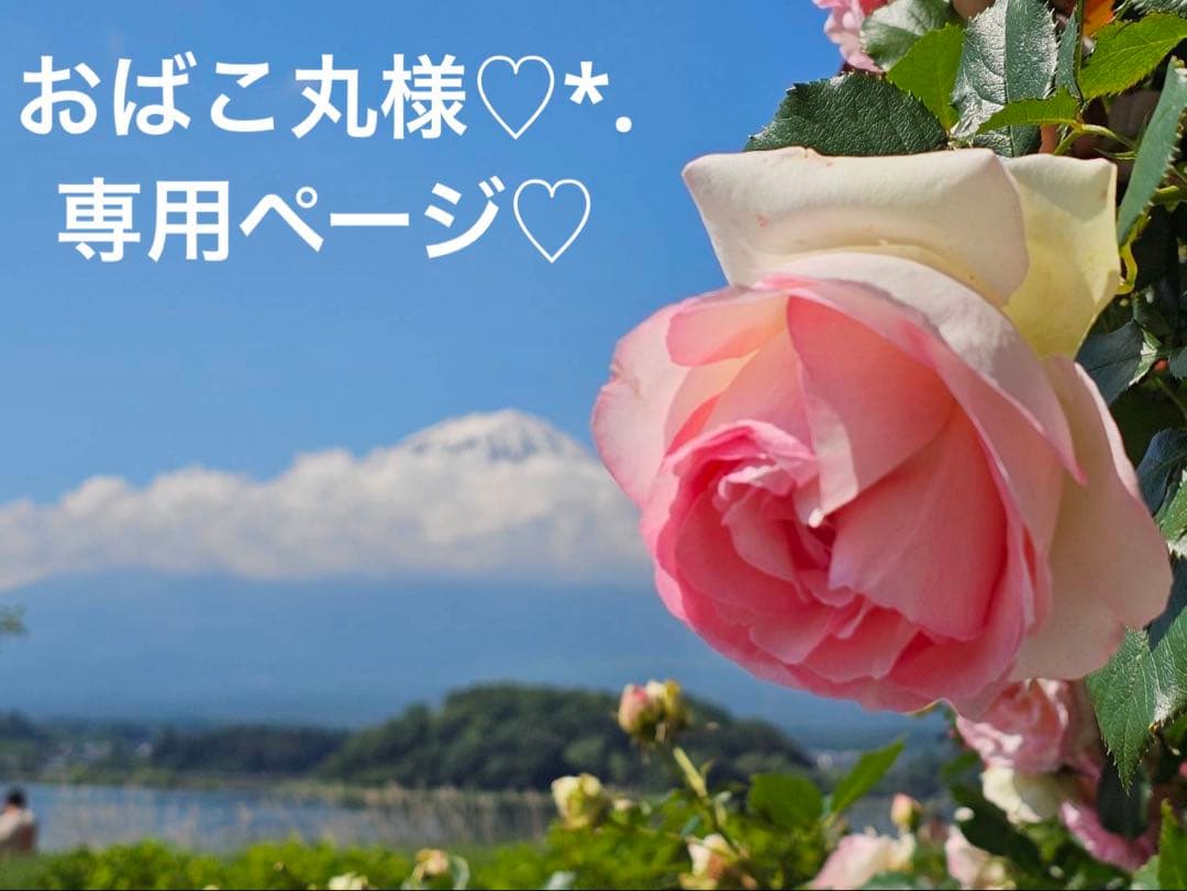 おばこ丸様♡*.