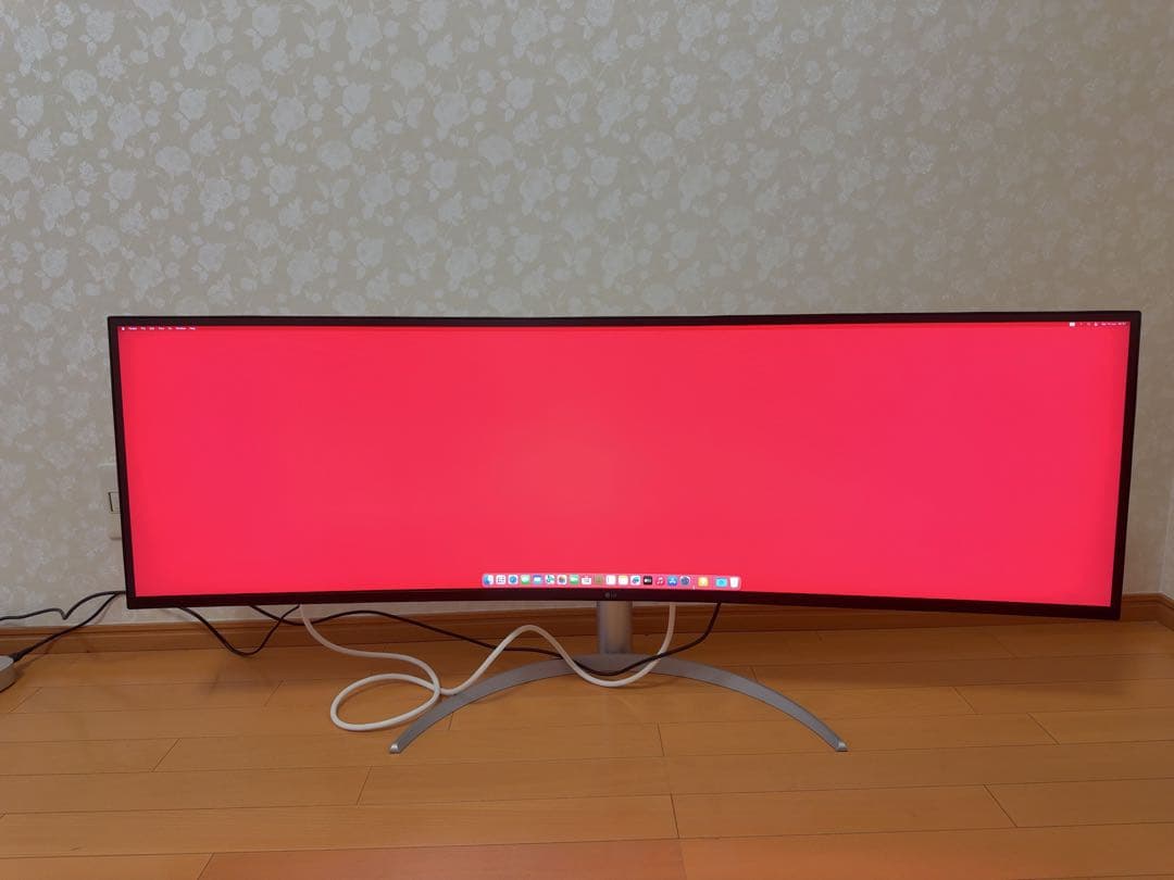 LGエレクトロニクス49WQ95C-W [49インチ]モニター中古品