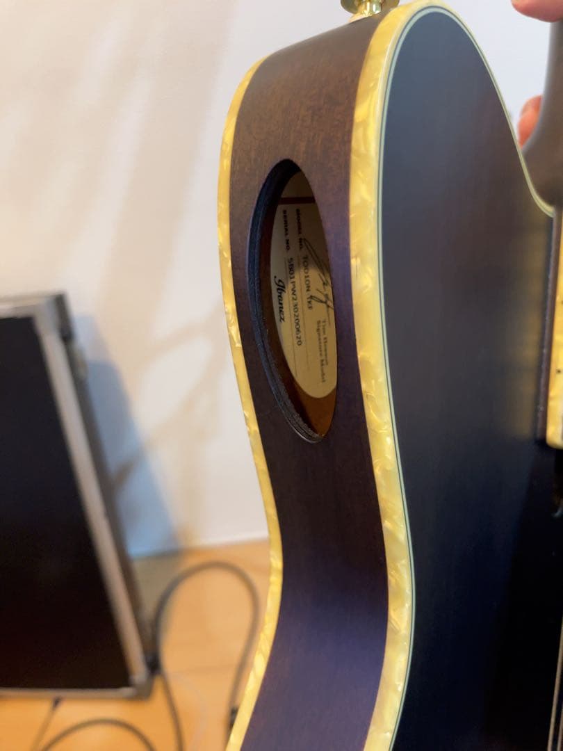 Tod10n Tim Henson シグネチャー